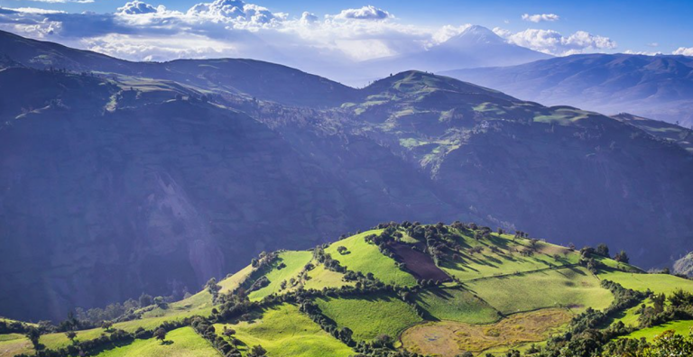 Captura de pantalla 2026-01-11 232943